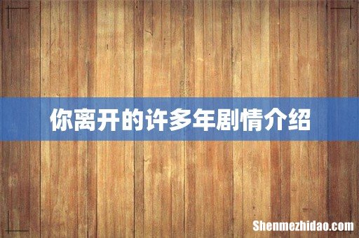 你离开的许多年剧情介绍