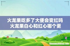 火龙果吃多了大便会变红吗 火龙果白心和红心哪个更有营养