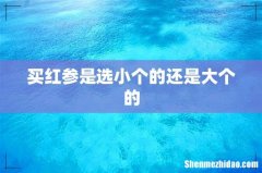 买红参是选小个的还是大个的