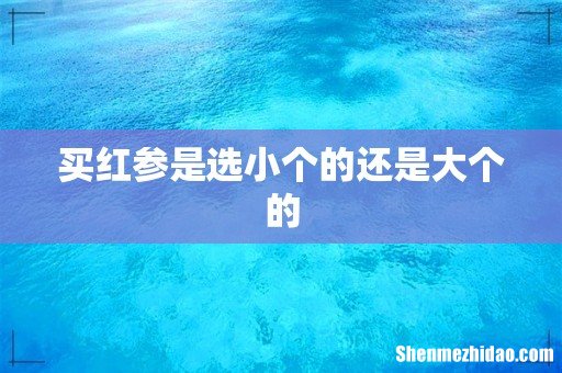 买红参是选小个的还是大个的