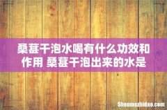 桑葚干泡水喝有什么功效和作用 桑葚干泡出来的水是黑色的正常吗