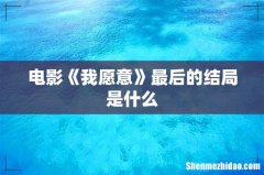 电影《我愿意》最后的结局是什么
