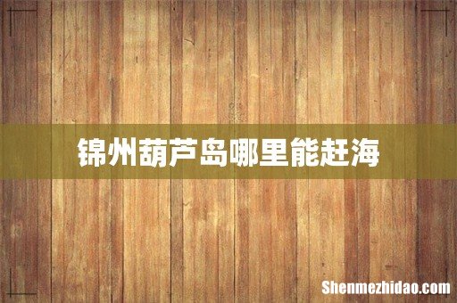 锦州葫芦岛哪里能赶海