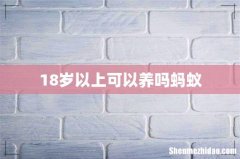 18岁以上可以养吗蚂蚁