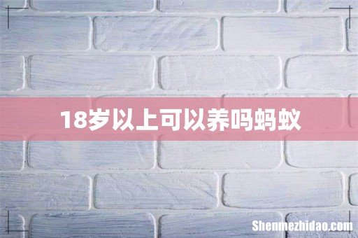 18岁以上可以养吗蚂蚁