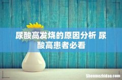 尿酸高发烧的原因分析 尿酸高患者必看