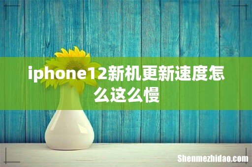 iphone12新机更新速度怎么这么慢