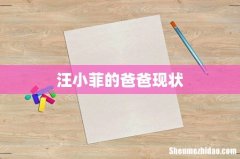 汪小菲的爸爸现状
