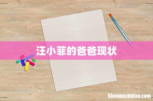 汪小菲的爸爸现状