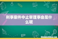 刑事案件中止审理事由是什么呢