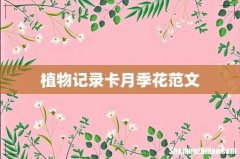 植物记录卡月季花范文