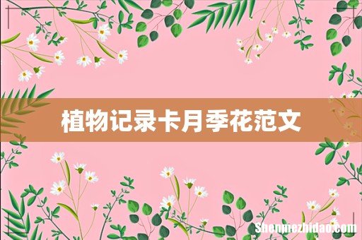 植物记录卡月季花范文