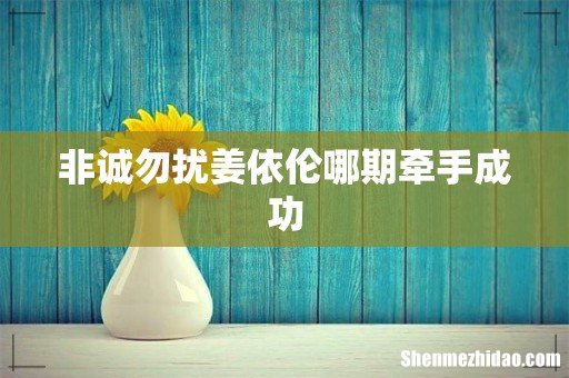 非诚勿扰姜依伦哪期牵手成功