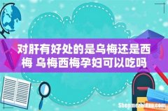 对肝有好处的是乌梅还是西梅 乌梅西梅孕妇可以吃吗