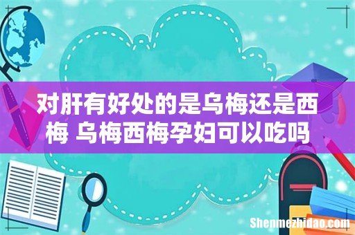 对肝有好处的是乌梅还是西梅 乌梅西梅孕妇可以吃吗