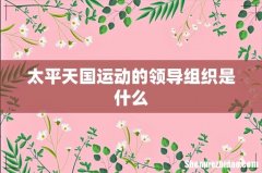 太平天国运动的领导组织是什么