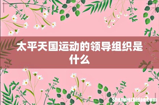 太平天国运动的领导组织是什么