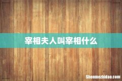 宰相夫人叫宰相什么