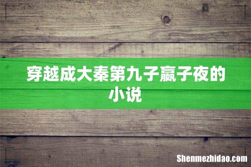 穿越成大秦第九子嬴子夜的小说