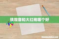 铁观音和大红袍哪个好