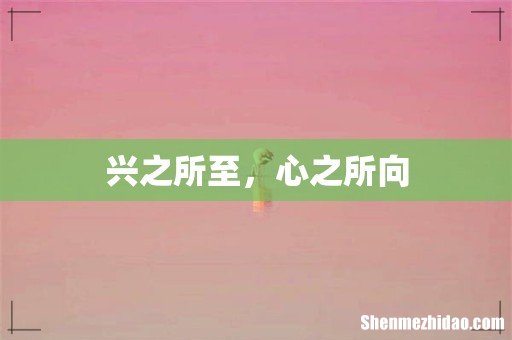 兴之所至,心之所向