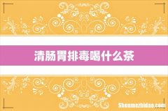 清肠胃排毒喝什么茶