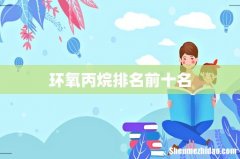 环氧丙烷排名前十名