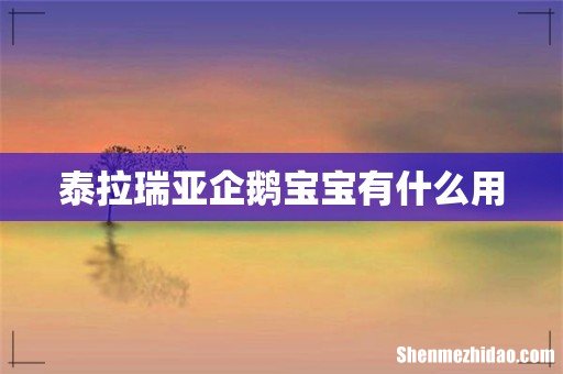 泰拉瑞亚企鹅宝宝有什么用