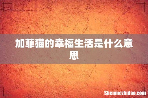 加菲猫的幸福生活是什么意思