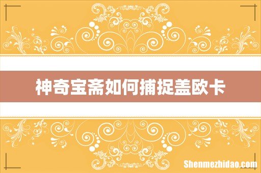 神奇宝斋如何捕捉盖欧卡