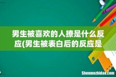 男生被表白后的反应是什么？ 男生被喜欢的人撩是什么反应