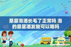 桑葚泡酒长毛了正常吗 泡的桑葚酒发酸可以喝吗