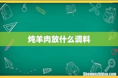炖羊肉放什么调料