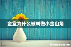 金堂为什么被叫做小金山角