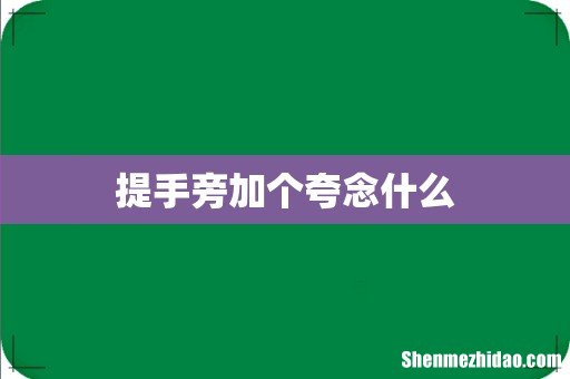 提手旁加个夸念什么