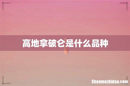 高地拿破仑是什么品种