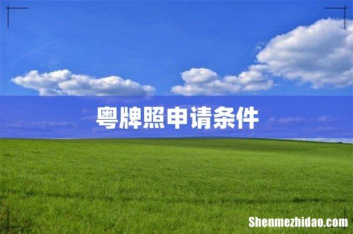 粤牌照申请条件