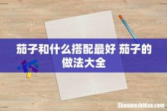 茄子和什么搭配最好 茄子的做法大全