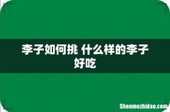 李子如何挑 什么样的李子好吃