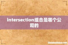 intersection组合是哪个公司的