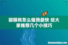 猕猴桃怎么催熟最快 给大家推荐几个小技巧