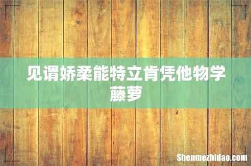 见谓娇柔能特立肯凭他物学藤萝