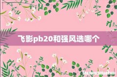 飞影pb20和强风选哪个