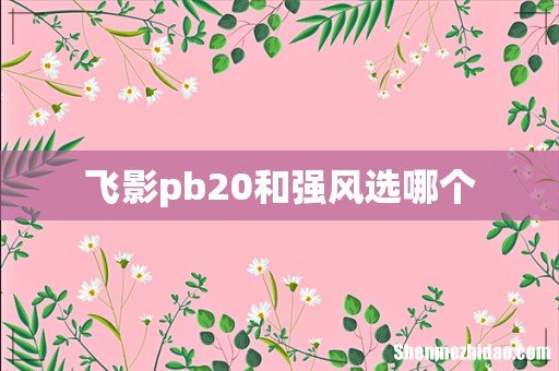 飞影pb20和强风选哪个
