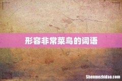 形容非常菜鸟的词语