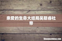 亲爱的生命大结局吴聪睿杜帝