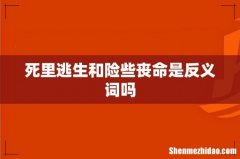 死里逃生和险些丧命是反义词吗