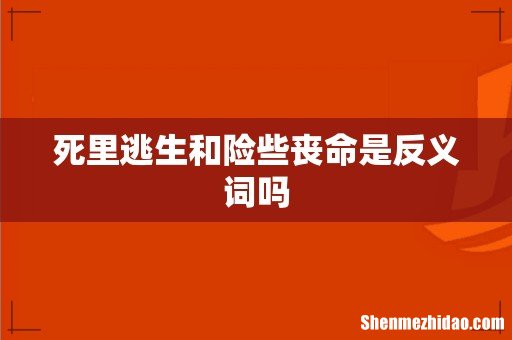 死里逃生和险些丧命是反义词吗