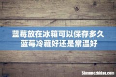 蓝莓放在冰箱可以保存多久 蓝莓冷藏好还是常温好