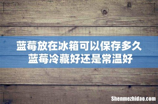 蓝莓放在冰箱可以保存多久 蓝莓冷藏好还是常温好